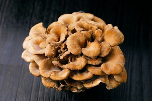 Maitake: The Mushroom for Immunity, Blood Sugar Balance & Vitality